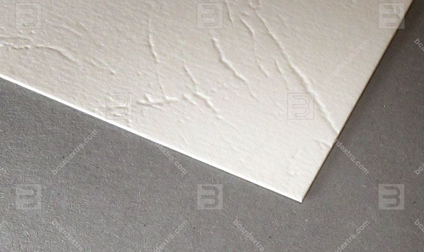 Cardboard Malmero cuir blanco business card photo